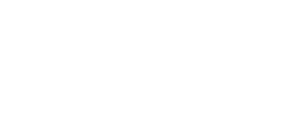 bub LTD